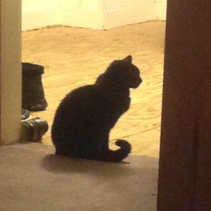 Fundraising Page: Kathi Mcgrath